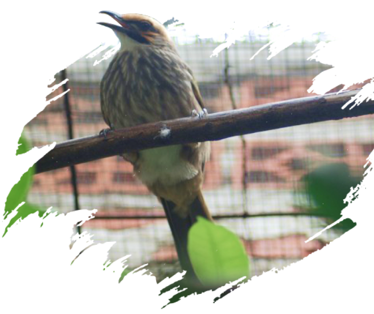 beautiful-vertical-closeup-shot-colorful-bee-eater 1